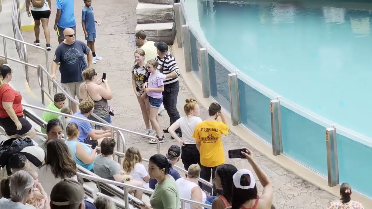 tomthemime at SeaWorld