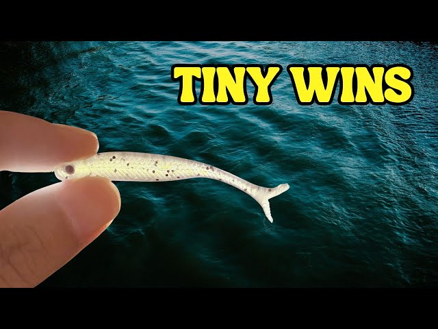 Tiny Beats Slow – How Japanese Anglers Fish the Drop Shot - YouTube