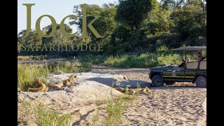 Jock Safari Lodge - Untamed, Untouched, Unforgettable