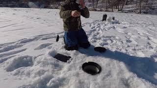 Now what? Just trying to catch a crappie!