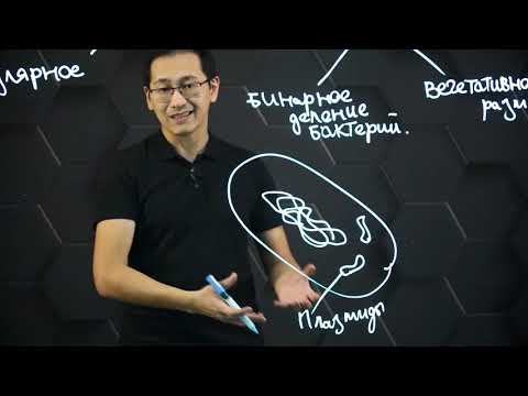 Видео: Что такое плазмиды и как их можно использовать?