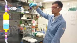 Running a Protein Purification Column by Gravity Flow