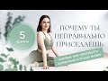 5 основных ошибок при приседаниях и как это исправить