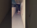 عشق تورطت متكدر تلوف