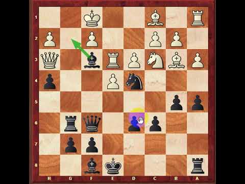 გაკვეთილი   ,,მარცხი ელანძეა\"   ოთხი მხედრის დებიუტტი