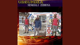 Ingwenya Emabuyeni