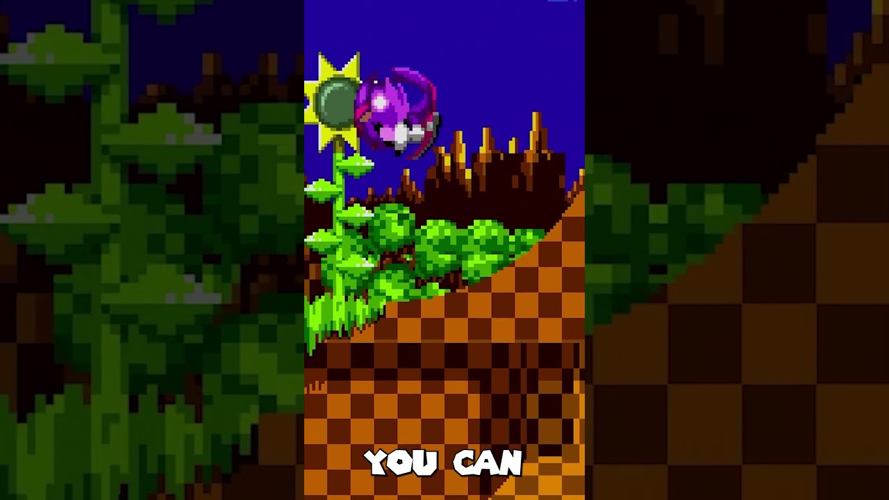 Кот Блейз из Sonic 1 — просто СУМАСШЕДШИЙ!