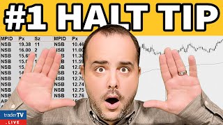 The ONLY Halt Trading Strategy You Need