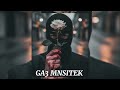 MESTRO _ GA3 MNSITEK (AUDIO OFFICIAL)