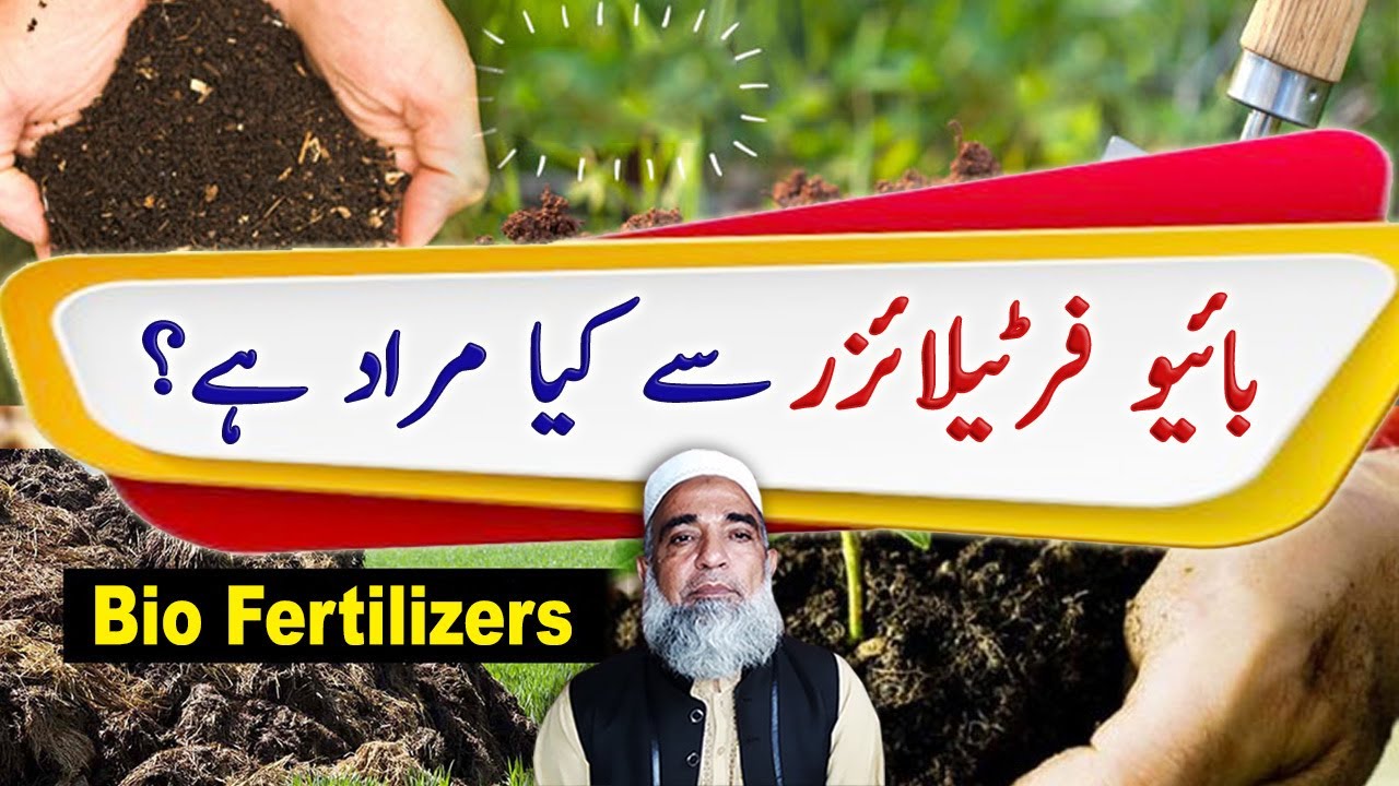 What are Bio Fertilizers || How these are different from chemical fertilizers || Crop Reformer