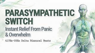 Parasympathetic Switch — Instant Relief From Panic & Overwhelm (2 Hours)