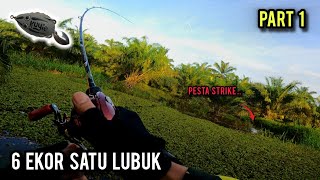 Casting Haruan Gasak Kaw Kaw Musim Banjir Daiwa Salamandura Vlog664