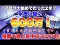 【11坪の水槽小屋に800万！】アクアリウムを本気で始めて2年でこれ⁉︎福岡の初心者？急上昇アロワナマニア宅が凄すぎた！　熱帯魚AQUARIUMアクアリウム