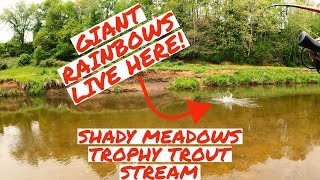 Shady Meadows TROPHY TROUT Stream! I CATCH a MONSTER Rainbow Trout! CITATION ALERT!