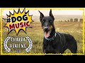 Music For Dogs ~ DOBERMANN Chakra Healing Music ~ Separation Anxiety Music