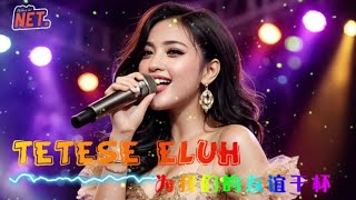 Download lagu TETESE ELUH (Fyp On TikTok!!!)