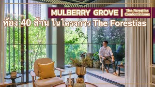 เล่าเรื่องบ้าน EP62 : Mulberry Grove The Forestias Condominium คอนโด Super Luxuryใน เดอะ ฟอเรสเทียส์