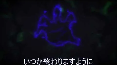 リゼロ Ed 歌詞