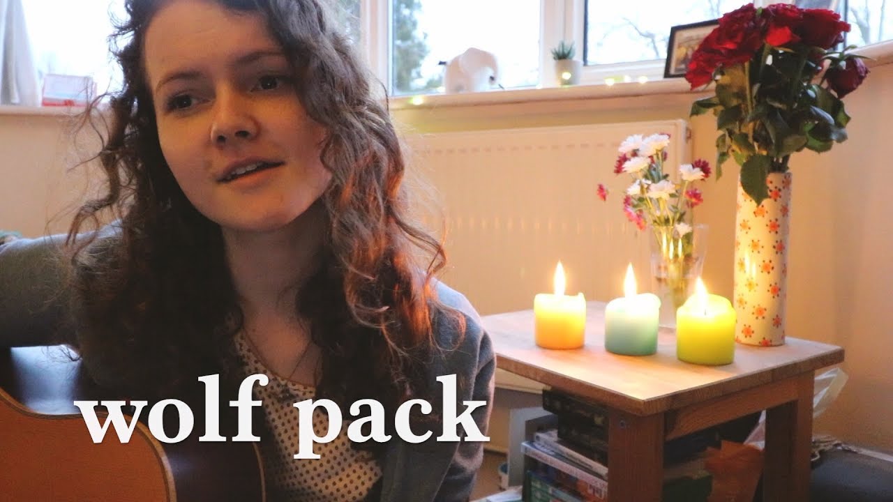 Wolf Pack - The Vaccines (Cover)