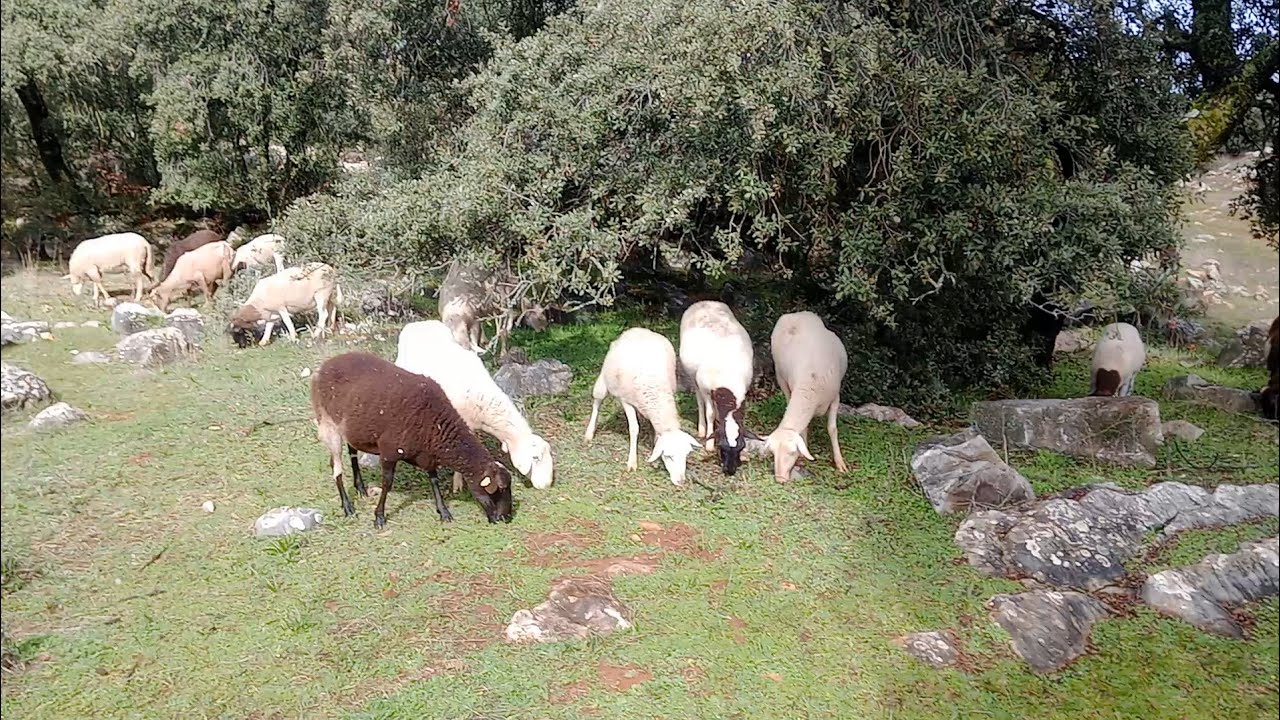 Hoy busco la recacha del aire helado🌬️🥶🤠