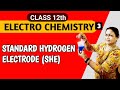 Standard Hydrogen Electrode (SHE) | Electrochemistry Made Easy 