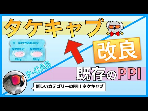 タケキャブって結局どうすごいの？既存のPPIと比較しよう！