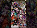 Shree Govardhan parvat bhi bole Shree Radha Radha #krishna​​ #govardhan​​ #vrindavan​​ #premmandir​​