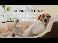 Calming Dog Music To Make Them Happy  : 11+ hours Soft Rock