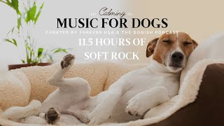 Calming Dog Music To Make Them Happy  : 11+ hours Soft Rock screenshot 3