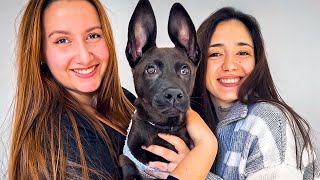 Luckiest Dog In The World… EROS goes home ! by Viktor Larkhill 8,551 views 1 month ago 9 minutes, 29 seconds