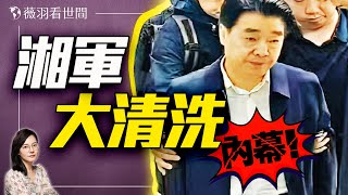 財政部高官被架走高清照流出！湘籍官員吳奇修落馬內幕！｜薇羽看世間 20250501