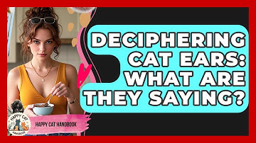 Deciphering Cat Ears: What Are They Saying? - Happy Cat Handbook