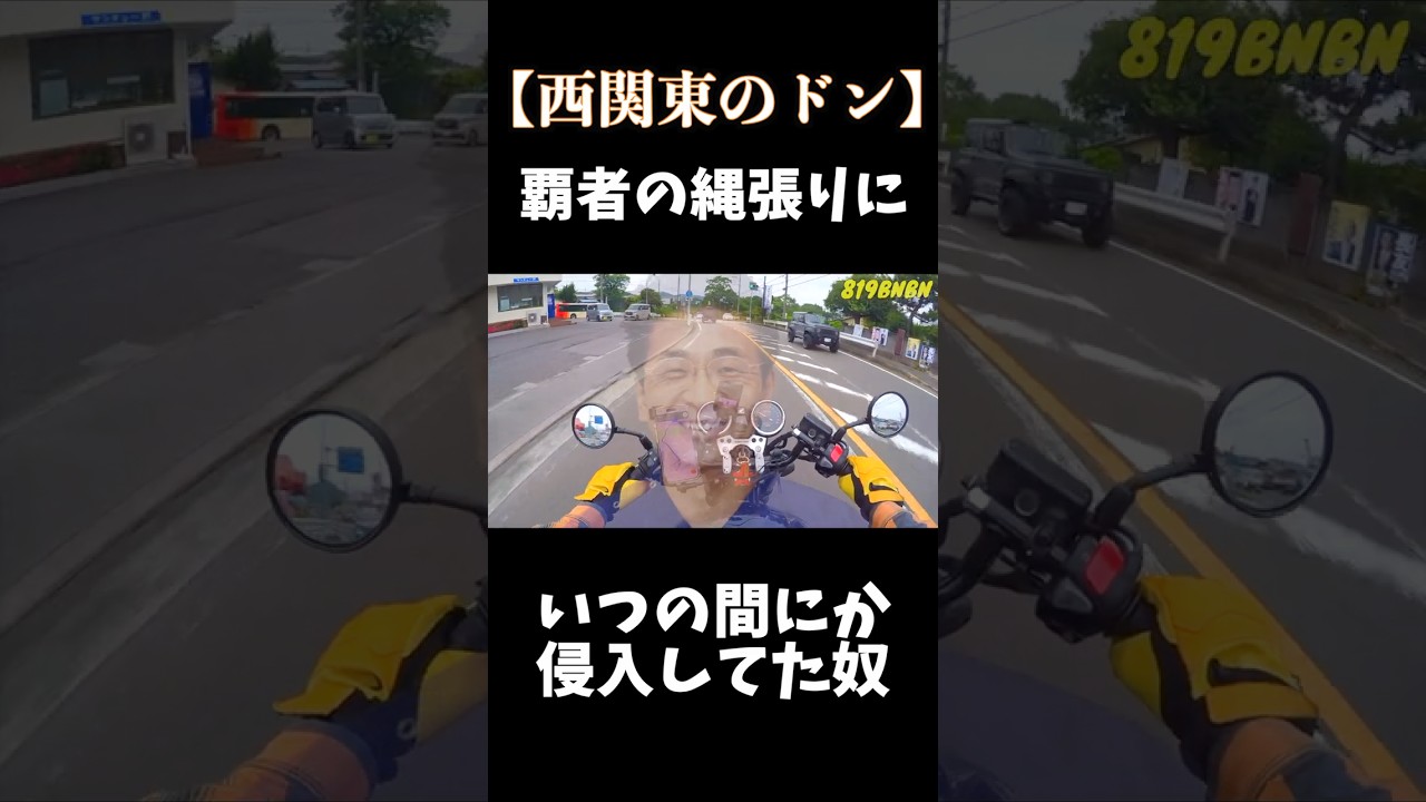 ツーリング中に気づいたらボスの縄張りに侵入した奴🦷