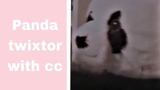 Panda Twixtor With Cc Mega Link