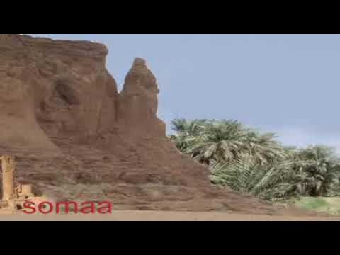 عمر النافعاب مقسوم لي مقدر