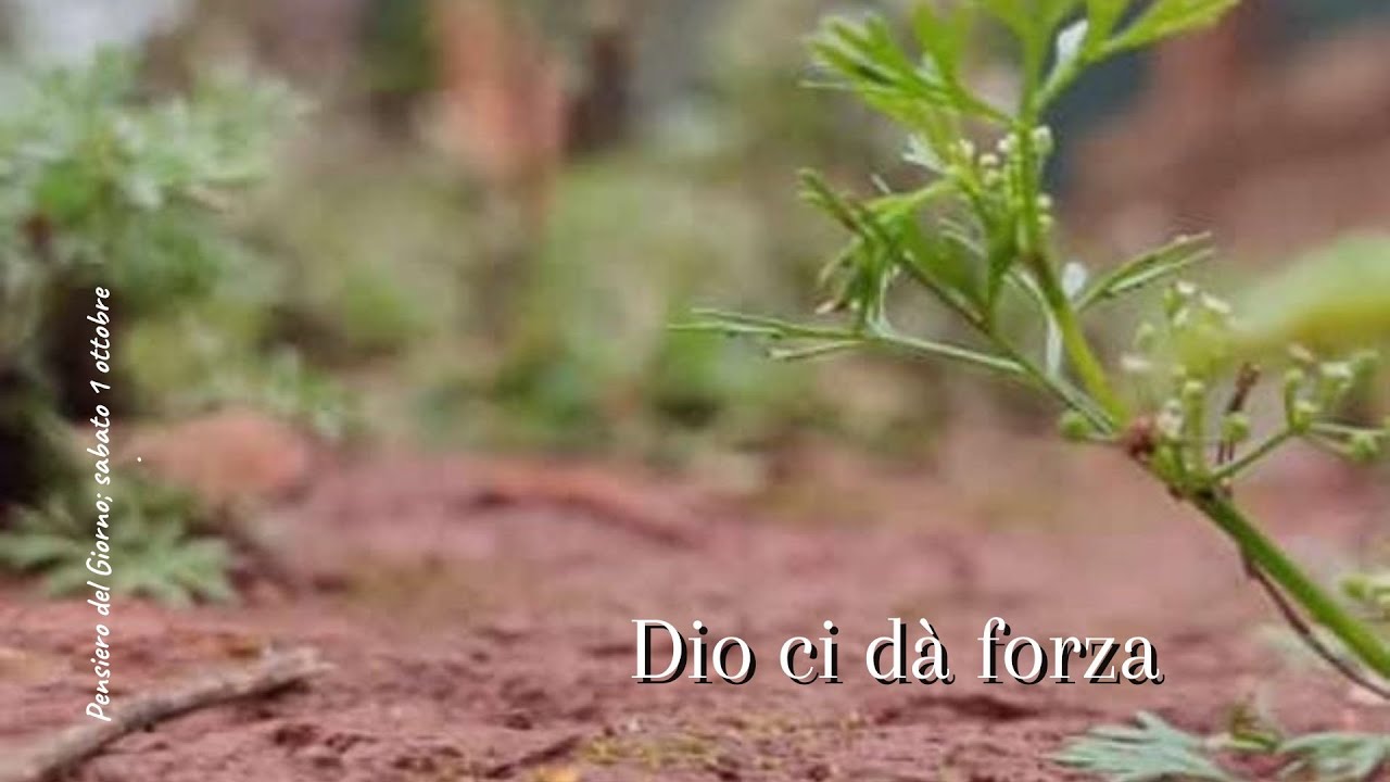 Pensiero del Giorno; sabato 1 ottobre - YouTube