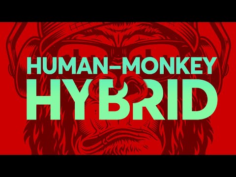 Video: Man + Monkey: Experimenty Pokračovat? - Alternativní Pohled