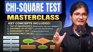 What Is Chi-Square Test The Easiest Explanation You’ll Ever See