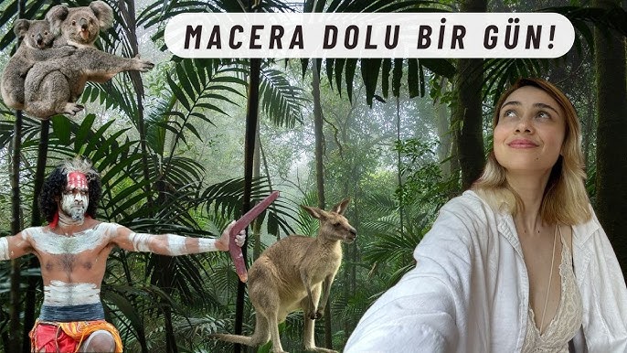 Yovvoyi tabiatda jinsiy aloqa rapidshare