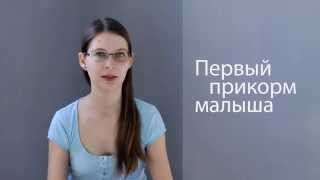Первый прикорм малыша. Как, когда, с чего начать? Первый прикорм малыша. Как, когда, с чего начать?