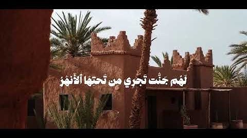 قال الله هذا يوم ينفع الصادقين صدقهم | القارئ : محمد ايوب