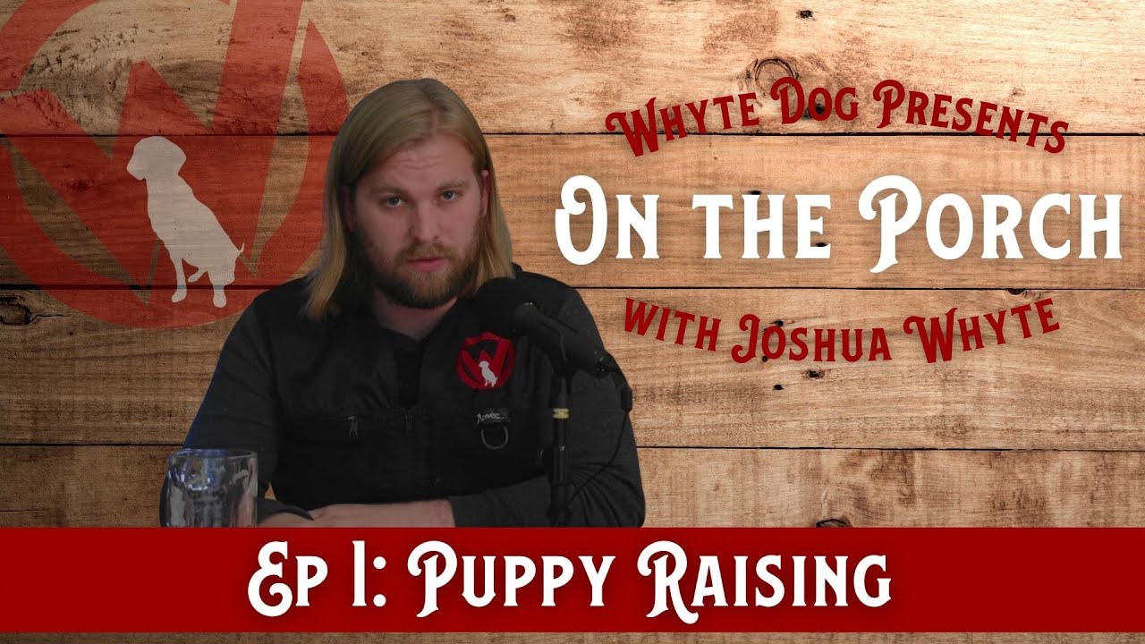 ON THE PORCH / Ep 1 / Puppy Raising