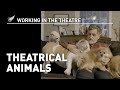 Working in the Theatre: Theatrical Animals