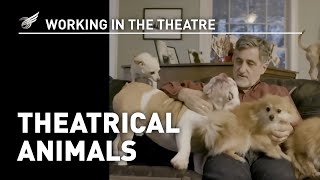 Working in the Theatre: Theatrical Animals