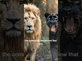 Choose Your King: White Lion Or Black Leopard! 👑🐾 #Shorts