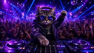 Sugar On The Edge - Pop Song 2026