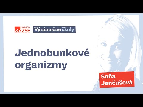 Video: Je Stentor jednobunkový?