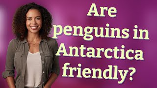 Are penguins in Antarctica friendly?