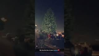 Countdown Christmas  Tree Lights