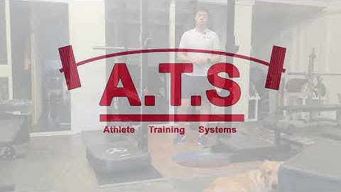 Nordic Hamstring Curl Demo